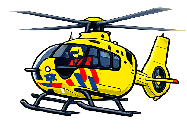 Dutch Lifeliner Simulation